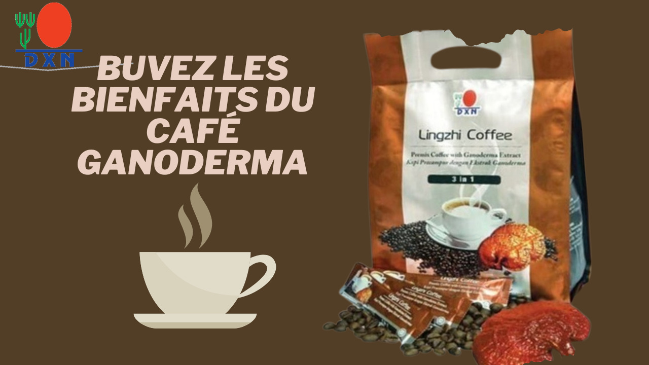 café ganoderma