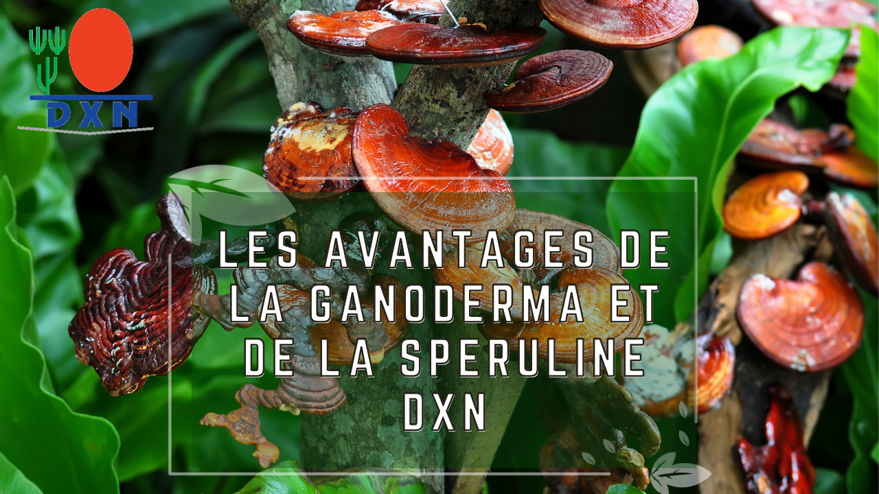 la Ganoderma